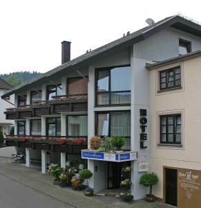 Waldbreitbach祖普特酒店的一座带阳台的建筑,上面有盆栽植物