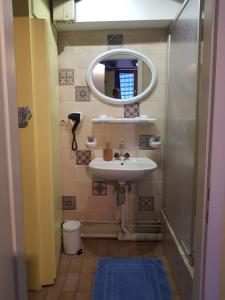 利克维Au Cep de Vigne的一间带水槽和镜子的浴室