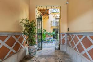 马拉加CASA MIRAFLORES的走廊上有一扇门,上面有盆栽植物