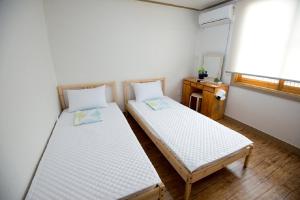 济州市Jeju Masil Guesthouse的小型客房的两张床,配有镜子