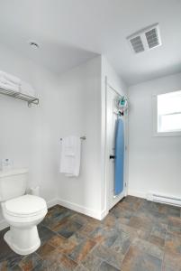 科纳布鲁克Appalachian Chalets & RV的一间带卫生间和淋浴的浴室