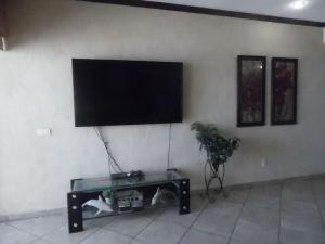 佩尼亚斯科港Sonoran Sky 1BR Upper SKY 405-V by Casago的墙上的平面电视,桌子下面有猫