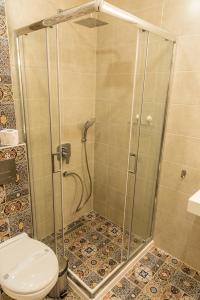 希萨里亚Antique Residence的浴室内带卫生间的淋浴间
