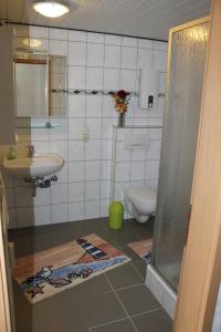 施莱登Ferienwohnung Schmahl的一间带卫生间和水槽的浴室
