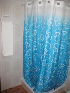 AlboreaHostal Alvaro I的浴室内配有蓝色淋浴帘