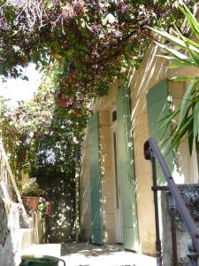 圣艾米隆Les Oiseaux的绿色门房子的入口