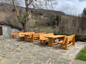 库蒂利亚诺Agriturismo Campolungo的庭院里设有一组木桌和长凳