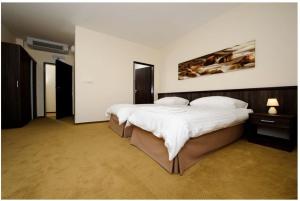 特伦钦Hotel Mariana Gaborika的一间卧室设有两张床,墙上挂着一幅画