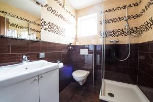 林茨Pension Rosenhof的浴室配有卫生间、盥洗盆和淋浴。