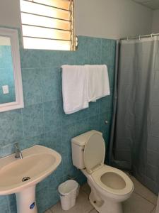 AguadulceRESIDENCIAL AGUADULCE的浴室配有卫生间、盥洗盆和淋浴。