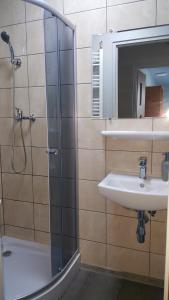 亚诺托维克Pokoje Gościnne Nad Złotym Potokiem的带淋浴、盥洗盆和镜子的浴室