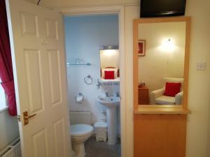 埃文河畔斯特拉特福Green Haven Guest House的一间带卫生间和水槽的小浴室