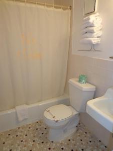 怀尔德伍德棕榈岛汽车旅馆的一间带卫生间和淋浴帘的浴室