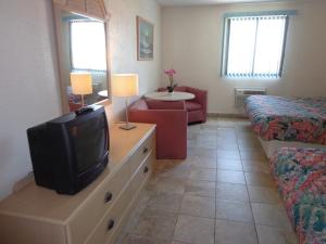 怀尔德伍德棕榈岛汽车旅馆的配有电视、床和沙发的客房