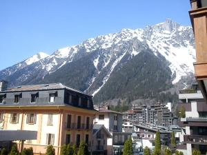 夏蒙尼-勃朗峰2 Appartements à Chamonix centre ville, vue Mont-Blanc, Lyret ou Morgane的一座有雪覆盖的山的城市