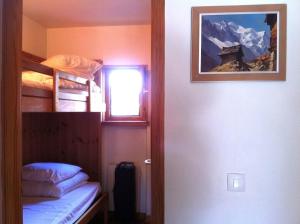 2 Appartements à Chamonix centre ville, vue Mont-Blanc, Lyret ou Morgane客房内的一张或多张双层床