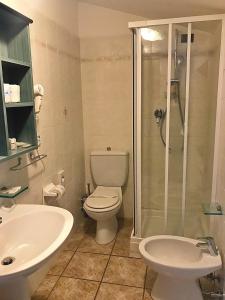 皮尼奥内Antiche Terre Hotel & Relax的浴室配有卫生间、淋浴和盥洗盆。