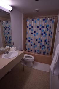 温尼伯皇家广场酒店的一间带水槽、卫生间和淋浴的浴室