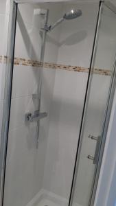 萨莱Maisonnette bois flottés的淋浴间设有玻璃门和淋浴