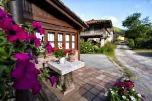索托德坎加斯乡村大宅酒店的鲜花屋前的石凳