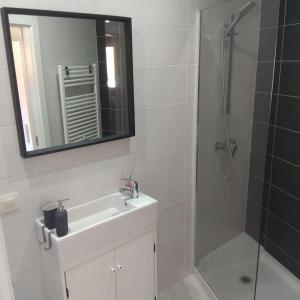 奥亚A Guaira, fantástico apartamento al borde del mar的浴室配有盥洗盆和带镜子的淋浴