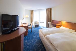 拜罗伊特莱茵黄金酒店的配有一张床和一台平面电视的酒店客房