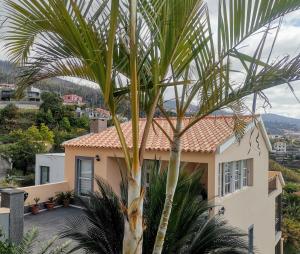 丰沙尔Costa Residence Funchal View的房屋前的棕榈树