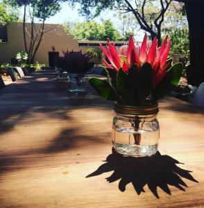 比勒陀利亚Pierneef's Kraal的坐在桌子上的一罐红色鲜花