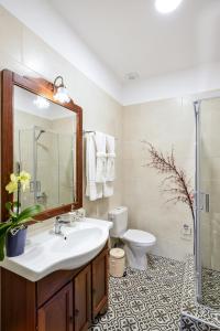 干尼亚Michalis Stonehouse的一间带水槽、卫生间和镜子的浴室