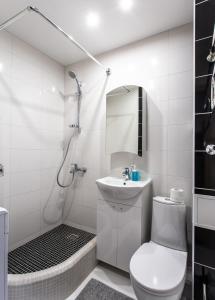 德鲁斯基宁凯Apartamentai Domeva的浴室配有卫生间、盥洗盆和淋浴。