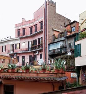 罗马Roma center Fori Imperiali Raffy's charming Suite的建筑上一群植物有盆栽的建筑