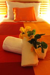 卡塔尼亚非洲西洛可早餐加卧室旅馆的两床的花瓶