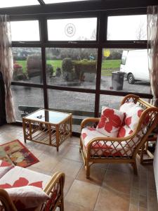 CoalislandAunt Mollie's Cottage的客厅配有两把椅子和窗户