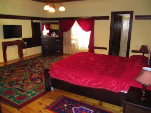 戈里察布蒂纳莱昂酒店的卧室配有红色的床和地毯。
