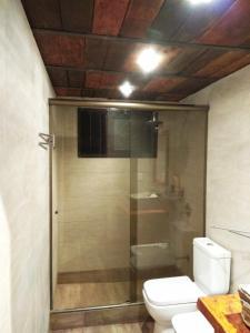 塞拉纳镇Cabaña Panambi的一间带卫生间和玻璃淋浴间的浴室