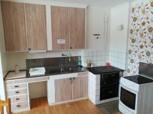 LundeVilla Rudolph的厨房配有木制橱柜、水槽和炉灶。