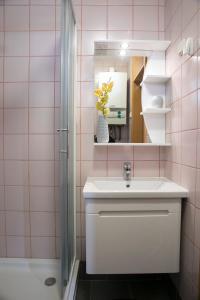 巴诺夫茨Apartma Špelca Banovci的一间带水槽和镜子的浴室