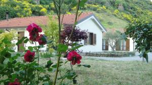 波坦察森托马尼塔维纳酒店的前面有红花的白色房子