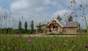 BersonShanti Lac Cabanes gîtes insolites et espace bien-être Bordeaux的花田中的一个小房子