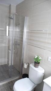 科尼尔-德拉弗龙特拉apartamento rio salado的浴室设有卫生间和带有植物的淋浴。