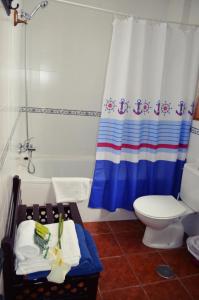 格拉纳达埃尔扎古安酒店的带淋浴、卫生间和浴帘的浴室