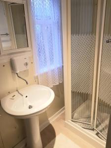 基尔肯尼Billycan Guest Rooms的一间带水槽和玻璃淋浴的浴室