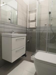 阿萨哥Assago Forum Apartment的浴室配有卫生间、盥洗盆和淋浴。
