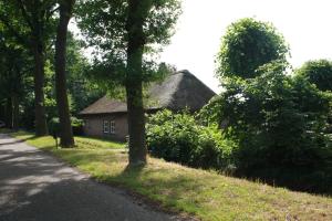 德尔纳BnB De Peelvos的树荫路旁的房子