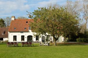 达默De Grote Wateringe的院子里的白色房子,有椅子和一棵树