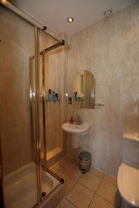 巴洛赫No 15 Lomond Castle的带淋浴、盥洗盆和卫生间的浴室