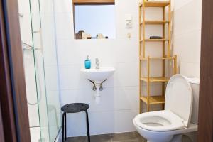 卢布林民俗旅舍的一间带卫生间和水槽的浴室