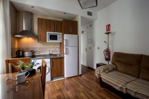 格拉纳达卡萨德拉龙佳公寓的带沙发的客厅和厨房