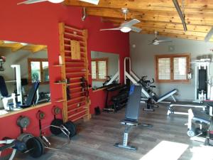 Mas de las MatasPhysionatural Wellness Center的一间设有红色墙壁和跑步机的健身房