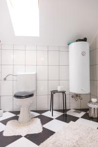 武科瓦尔Apartmani Maraton的一间带卫生间的浴室,铺有黑白地板。